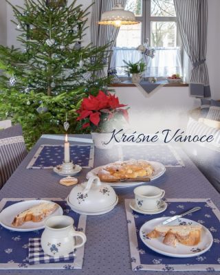 🎄 Přejeme pohodové Vánoce!